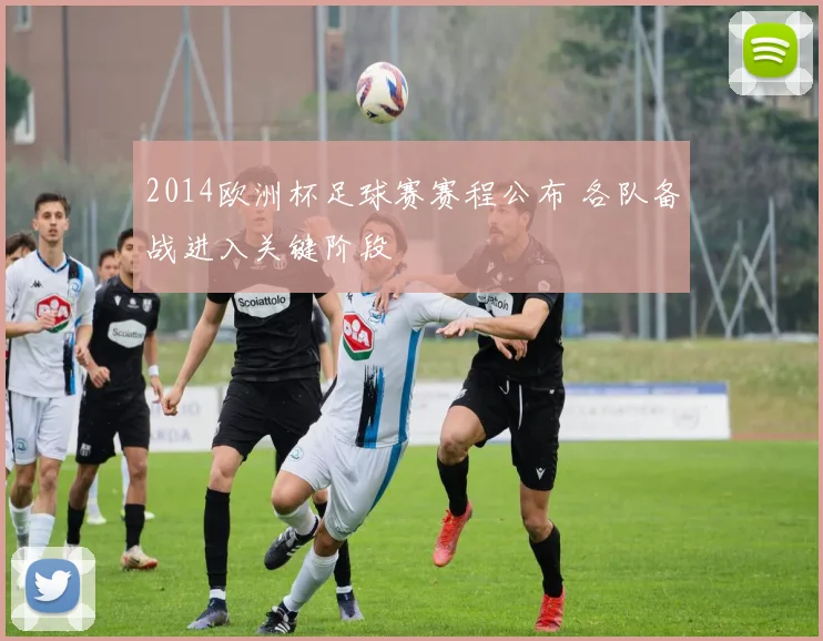 2014欧洲杯足球赛赛程公布 各队备战进入关键阶段